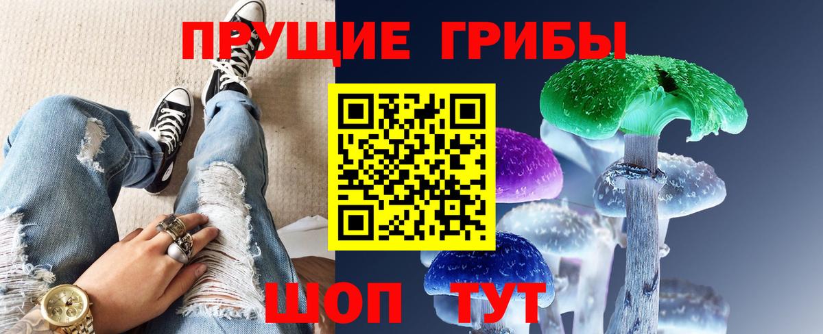Псилоцибиновые грибы GOLDEN TEACHER Чистополь